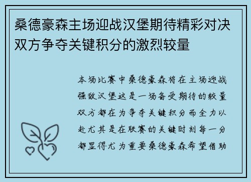 桑德豪森主场迎战汉堡期待精彩对决双方争夺关键积分的激烈较量